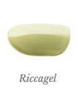 Colorgel 218MS