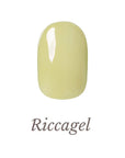 Colorgel 247MS
