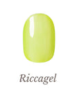 Colorgel 304S