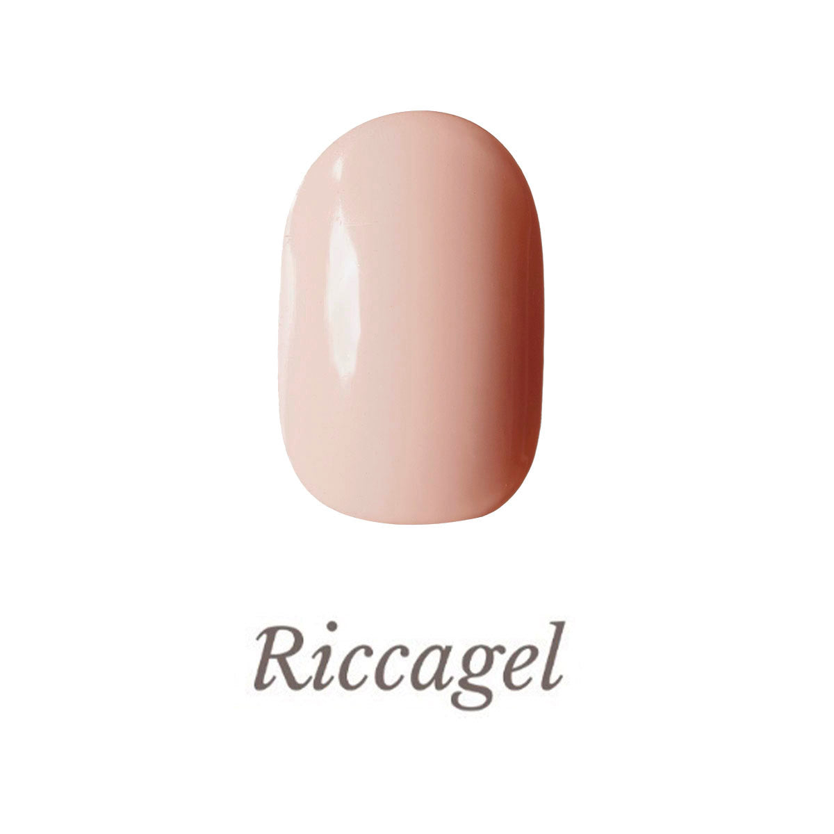 029s_01.jpg?v=1755008584&width