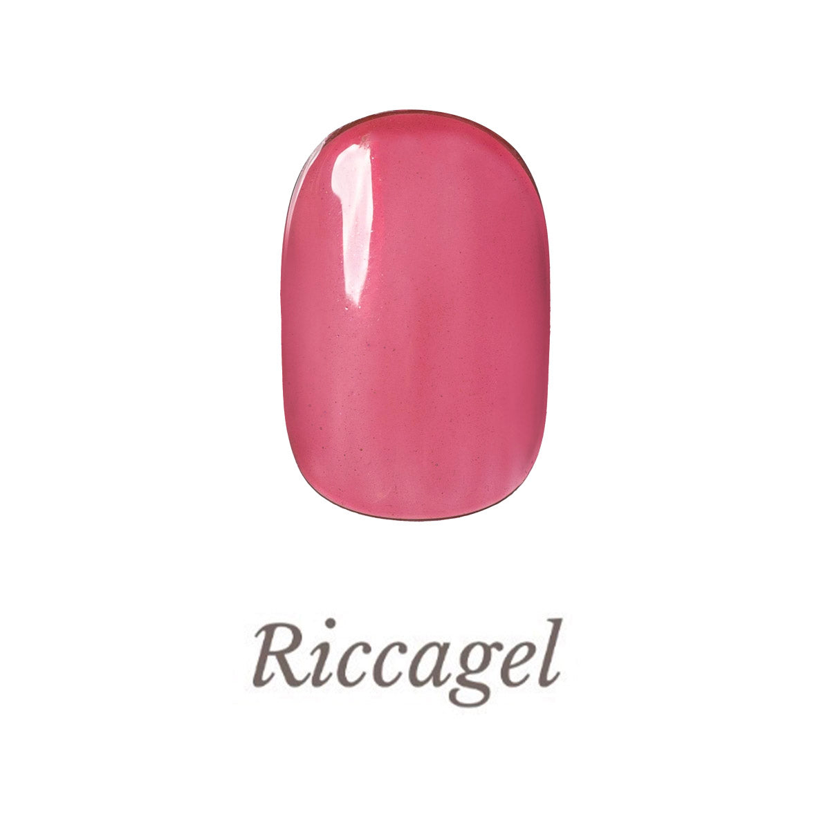 408C_01.jpg?v=1754990352&width